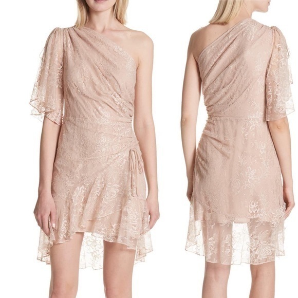 A.L.C. One Shoulder Lace Blush Dress - Picture 15 of 15